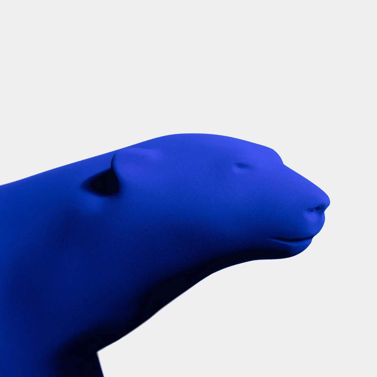 Close up on Yves Klein x Pompon's bear's head